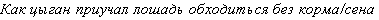 balazsi18.gif (1431 bytes)