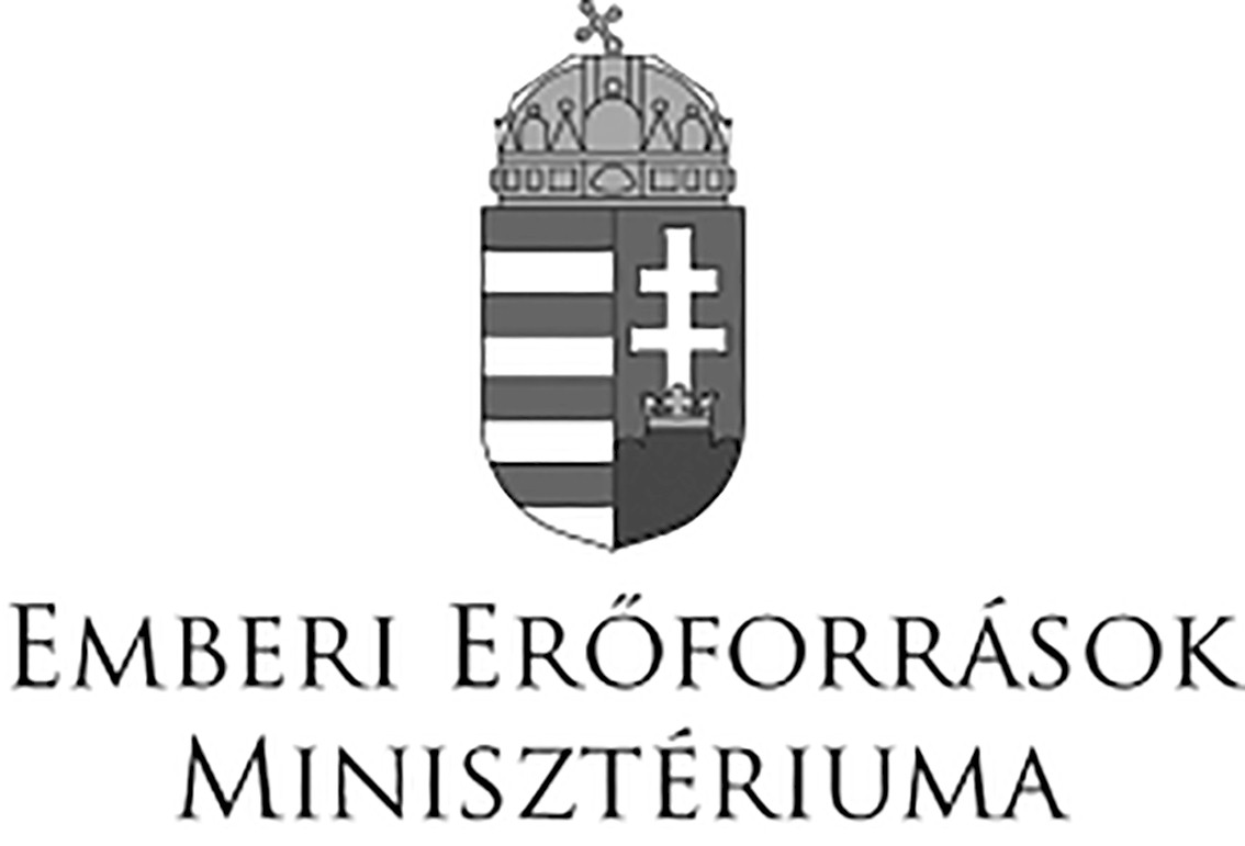 Emmi_logo.jpg (67155 bytes)