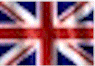 English Version